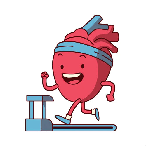 Cardiology Notes
