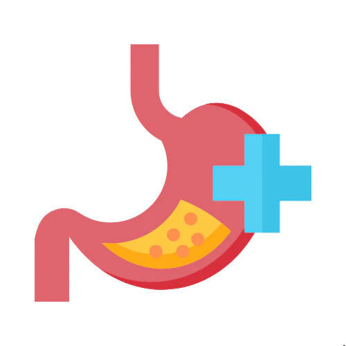 Gastrology Notes