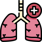 Pulmonology notes